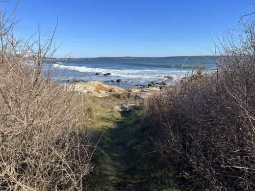 A narrow path through dry bushes leads to a rocky shoreline and calm ocean under a clear blue sky.