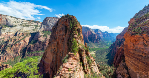 A panoramic view of Zion National Park, showcasing towering red rock formations and lush green valleys under a blue sky.
