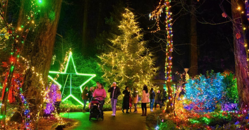 A festive scene with colorful lights, a large star, and people walking through a beautifully illuminated park at night.