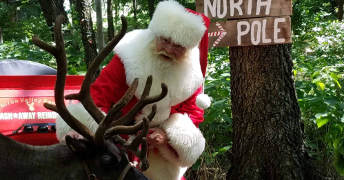 Santa Claus interacts with a reindeer near a sign pointing to the North Pole, surrounded by lush greenery.