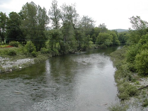 A serene river flows through a lush green landscape, surrounded by trees and rocky banks under a cloudy sky.