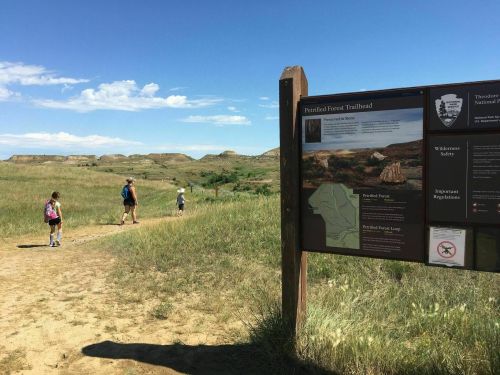 A trailhead sign for the Painted Forest Trail with hikers in a grassy landscape and hills under a blue sky.