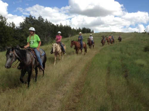 A group of riders on horseback trail through a grassy field under a blue sky with fluffy clouds.