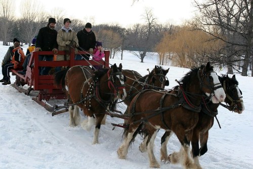 A horse-drawn sleigh carries people through a snowy landscape, surrounded by trees and winter scenery.