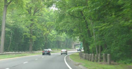 A scenic road surrounded by lush green trees, with cars driving and a speed limit sign visible.