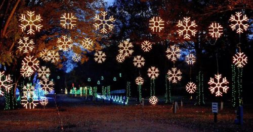 A festive display of snowflake lights hanging among trees, illuminating a pathway in a winter-themed setting.