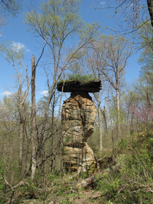 A tall rock formation with a flat top, surrounded by trees and greenery under a clear blue sky.