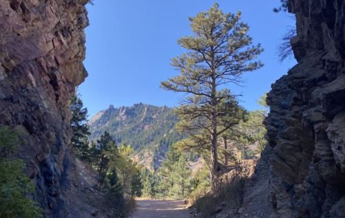 A narrow canyon with a dirt path, flanked by rocky cliffs and a tall tree, leading to a mountain view under a clear blue sky.