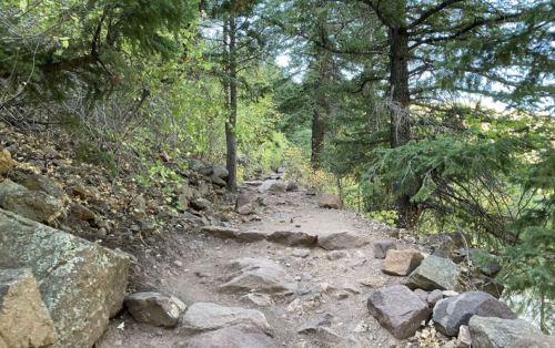 A rocky trail winding through a lush green forest with tall trees and scattered boulders.