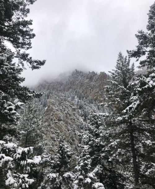 A snowy mountain landscape surrounded by evergreen trees under a cloudy sky.
