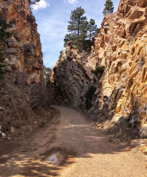 A narrow dirt path winds through rocky cliffs and pine trees under a blue sky.