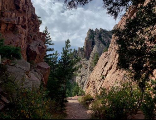 A rocky trail winds through tall cliffs and pine trees under a cloudy sky.