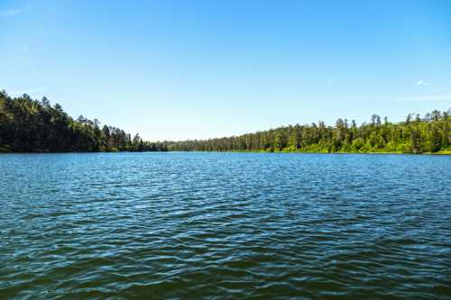 A serene lake surrounded by lush green trees under a clear blue sky. Gentle ripples on the water's surface.