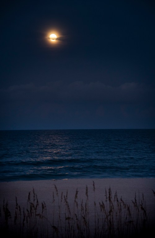 A serene night scene with a full moon illuminating the ocean, framed by dark clouds and silhouetted grass in the foreground.