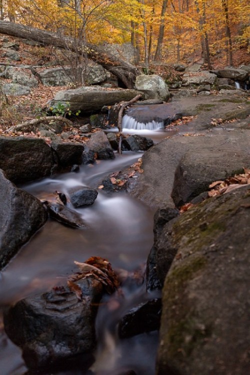 A serene stream flows over rocks, surrounded by autumn foliage in a tranquil forest setting.