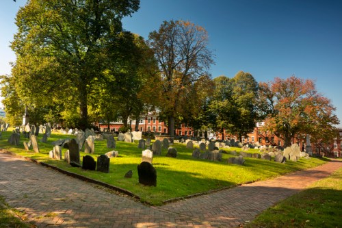 A peaceful cemetery with gravestones surrounded by trees and a clear blue sky, featuring a winding brick path.