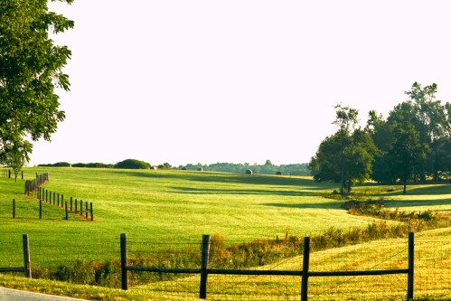 A serene landscape featuring green fields, a wooden fence, and trees under a bright sky.
