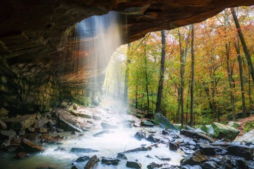 A serene waterfall cascades from a rocky overhang into a stream, surrounded by vibrant autumn foliage and stones.