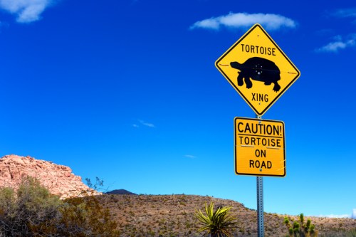 A caution sign for tortoises crossing, set against a blue sky and rocky landscape.
