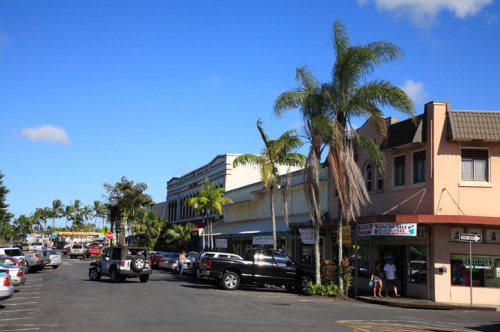 A sunny street scene with palm trees, shops, and parked cars under a clear blue sky.