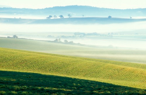 A serene landscape of rolling green hills shrouded in morning mist, with distant trees and soft light.