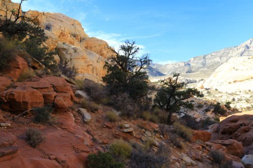 A rocky landscape with red and tan cliffs, sparse vegetation, and a clear blue sky in the background.