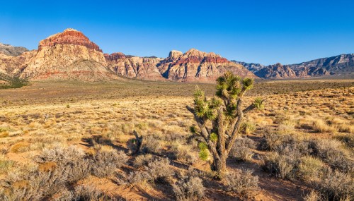 A desert landscape featuring rugged mountains, sparse vegetation, and a clear blue sky.