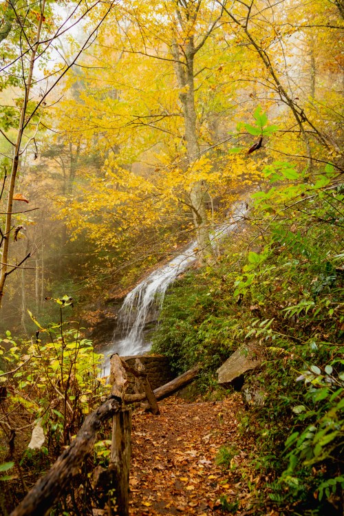 A serene forest path with vibrant autumn leaves and a gentle waterfall in the background.