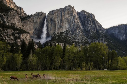 A serene landscape featuring a waterfall cascading down a mountain, with deer grazing in a lush green meadow.