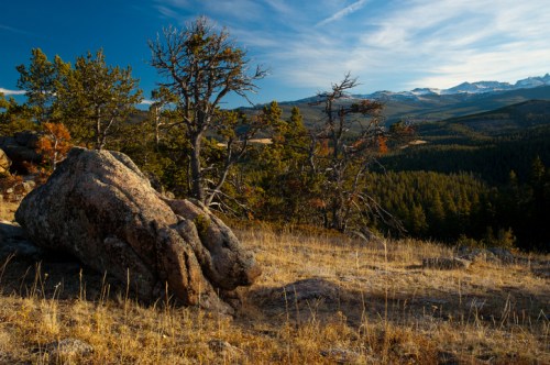 A rocky landscape with sparse trees and mountains in the background under a clear blue sky.