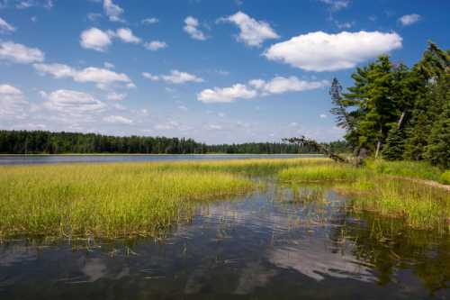 A serene lake surrounded by lush green grass and trees under a blue sky with fluffy white clouds.