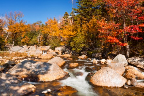 A serene river flows over rocks, surrounded by vibrant autumn foliage in shades of orange and red under a clear blue sky.