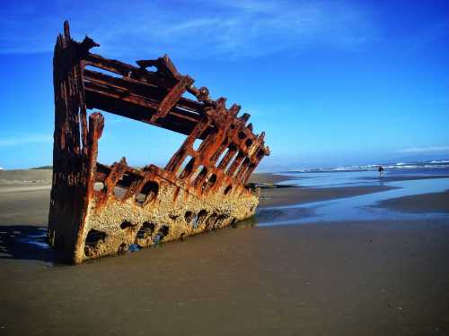 A rusted shipwreck stands on a sandy beach under a clear blue sky, with waves in the background.