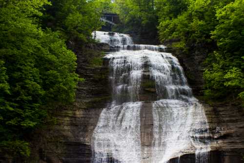 A cascading waterfall surrounded by lush green trees and rocky cliffs, with a structure visible at the top.