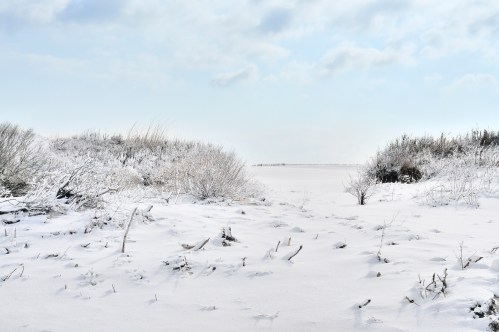A snowy landscape with sparse vegetation and a cloudy sky, creating a serene winter scene.