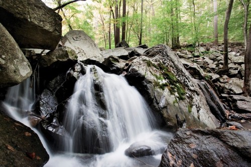 A serene waterfall cascades over moss-covered rocks in a lush, green forest.