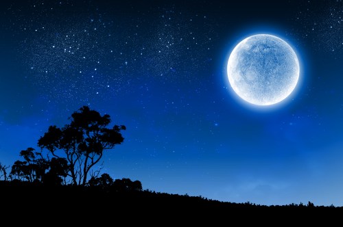 A bright full moon shines in a starry night sky, silhouetting trees against a deep blue backdrop.
