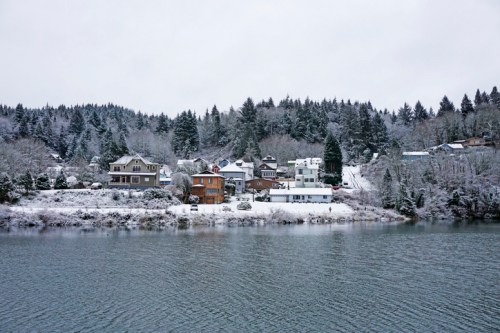 Snow-covered houses line a lakeshore, surrounded by evergreen trees under a gray winter sky.