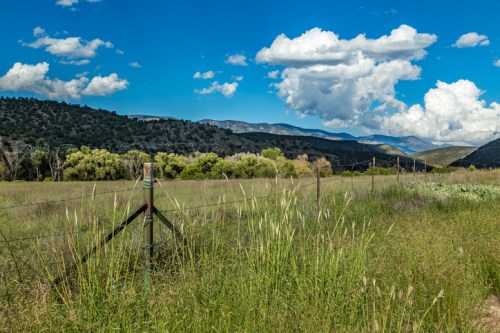 A lush green field with tall grass, a fence, and mountains under a bright blue sky with fluffy clouds.