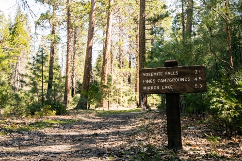 A wooden signpost in a forest, indicating distances to Yosemite Falls, Pines Campgrounds, and Mirror Lake.
