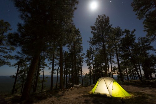 A bright yellow tent illuminated by moonlight, surrounded by tall trees under a starry night sky.