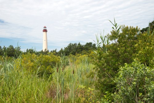 A tall lighthouse stands amidst lush green vegetation under a cloudy sky.