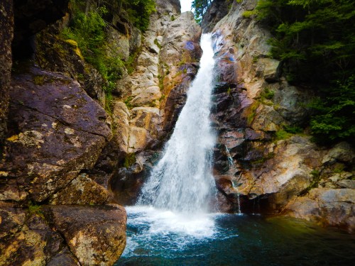 A cascading waterfall flows over rocky cliffs into a serene pool surrounded by lush greenery.