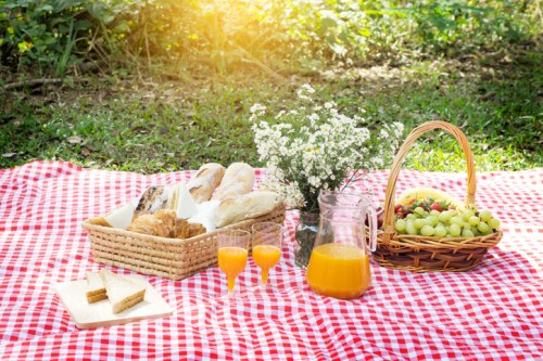 A picnic setup on a red checkered blanket with pastries, juice, a fruit basket, and flowers in a sunny outdoor setting.