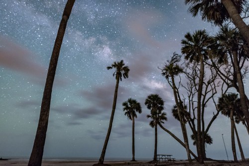 A serene beach scene at night, featuring silhouetted palm trees against a starry sky with the Milky Way visible.