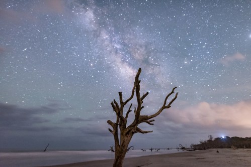 A starry night sky with the Milky Way over a beach, featuring a silhouetted, dead tree in the foreground.
