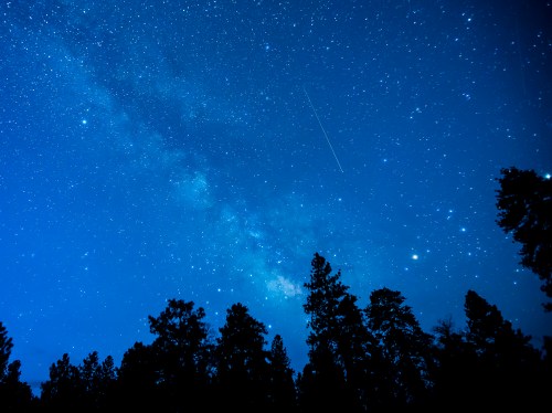 A starry night sky filled with stars and the Milky Way, silhouetted by dark tree silhouettes below.