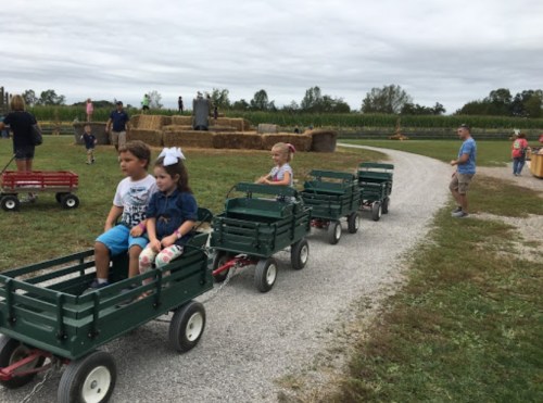 Children ride in green wagons on a gravel path at an outdoor event, with hay bales and fields in the background.