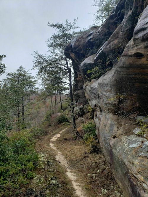 A winding dirt path surrounded by rocky cliffs and sparse trees under a cloudy sky.