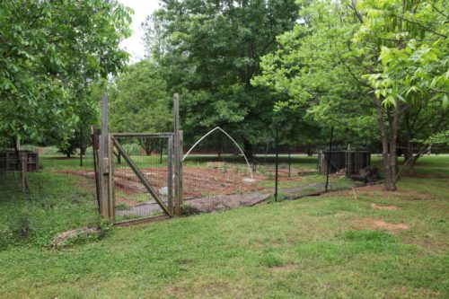 A fenced garden area with rows of plants, surrounded by trees and grass, under a cloudy sky.